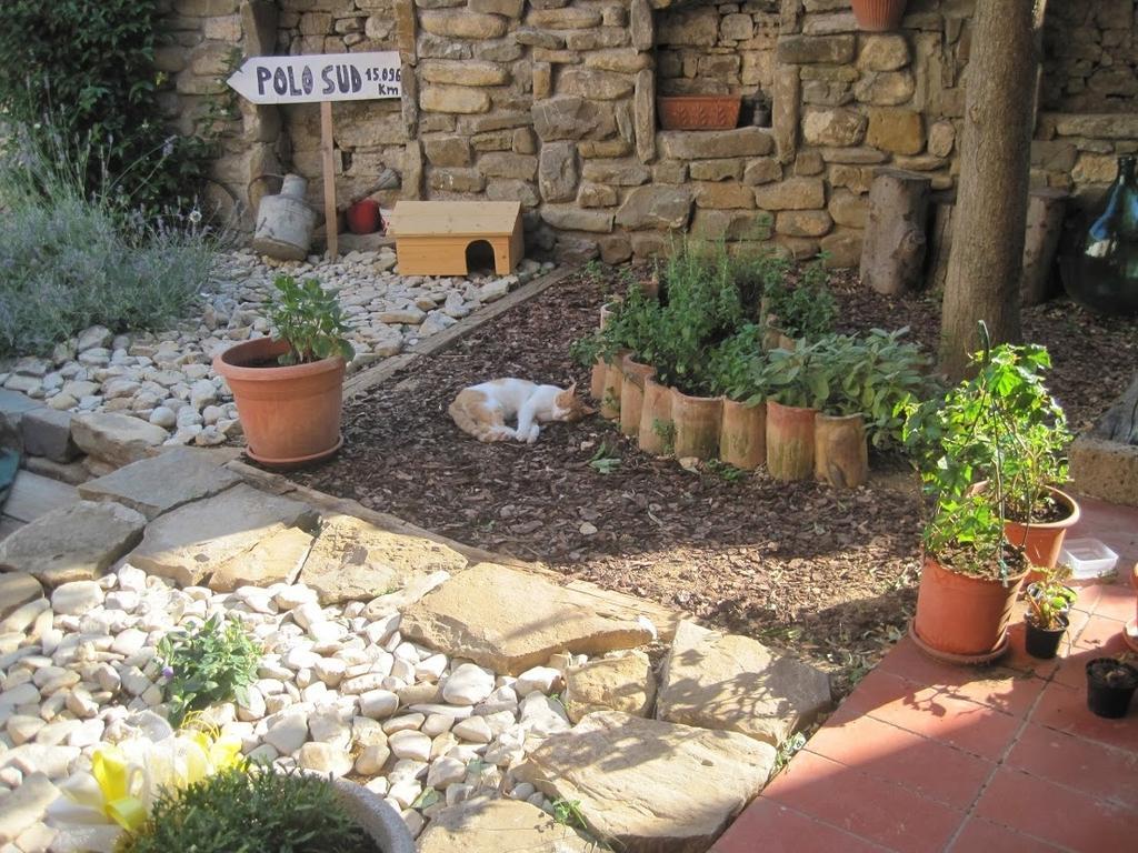 Rosandra Bed and Breakfast San Dorligo della Valle Zewnętrze zdjęcie