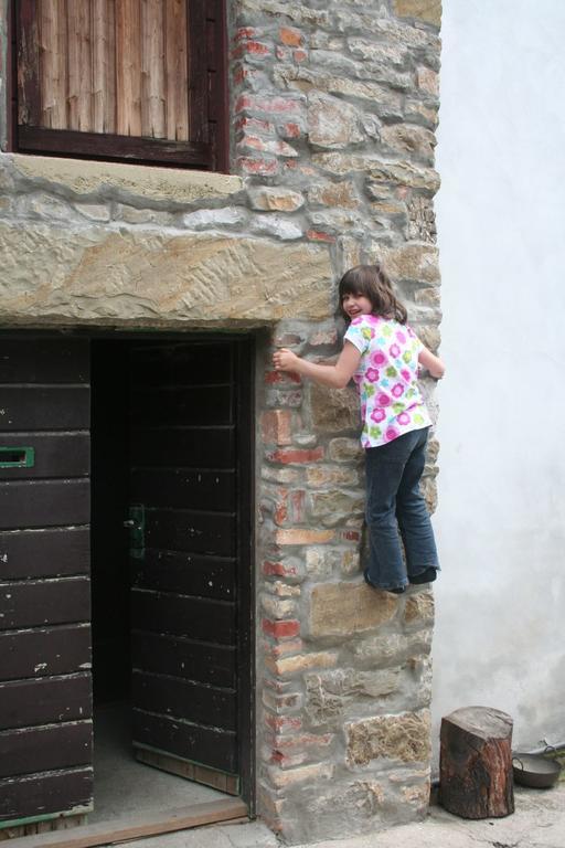 Rosandra Bed and Breakfast San Dorligo della Valle Zewnętrze zdjęcie